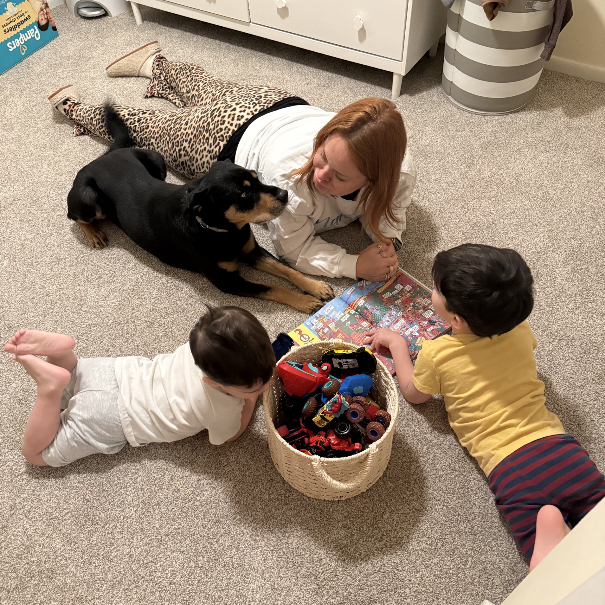 Three cats at home